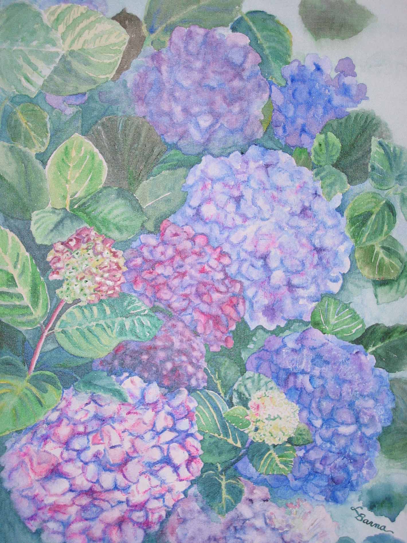 MendocinoBlooms.jpg